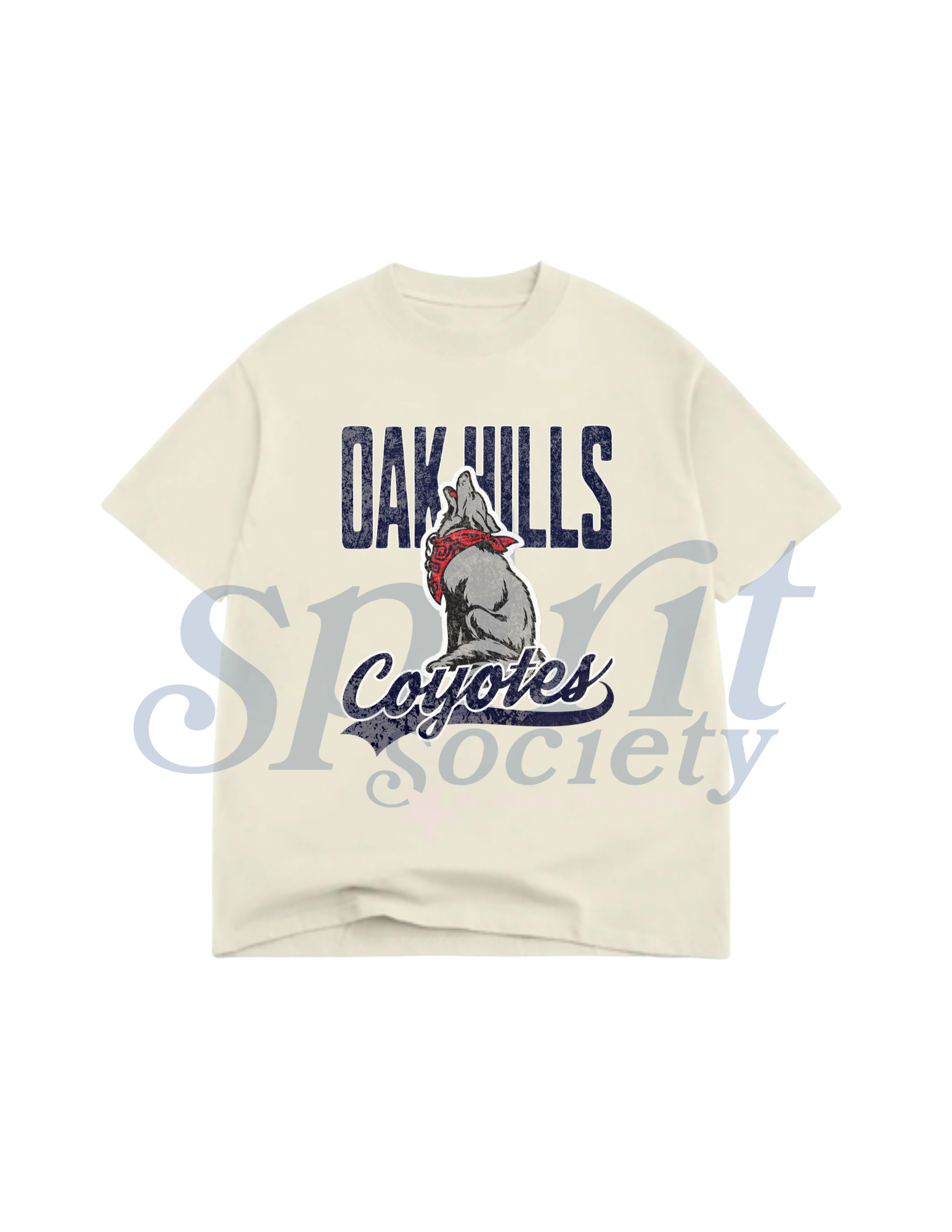 Oak Hills Vintage Oversized Tee