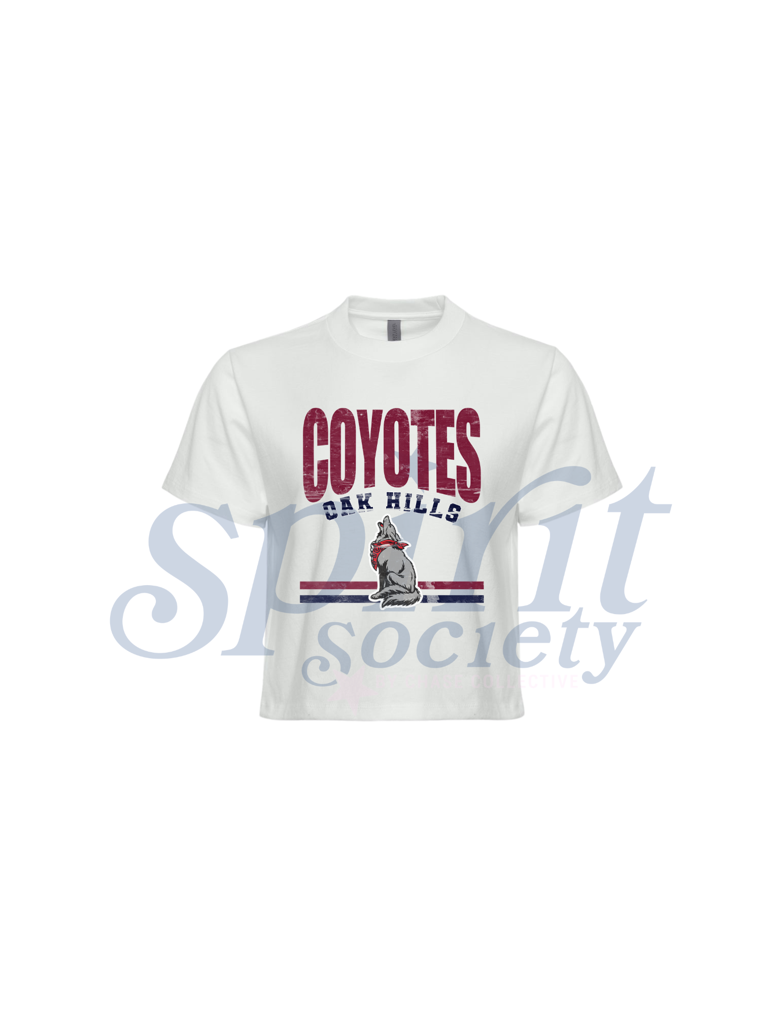 Oak Hills Varsity Boxy Crop Tee