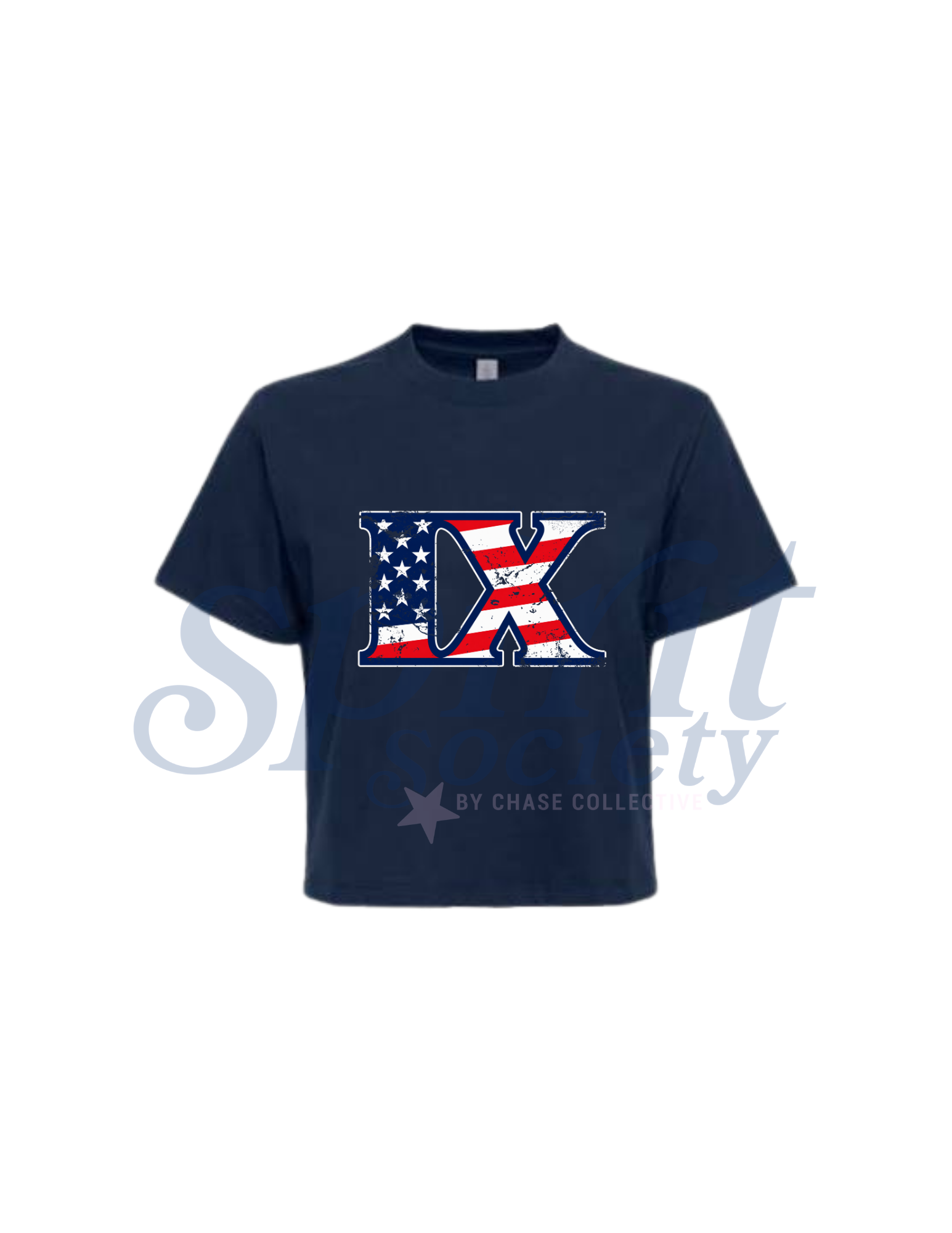 IX Logo Boxy Crop Tee