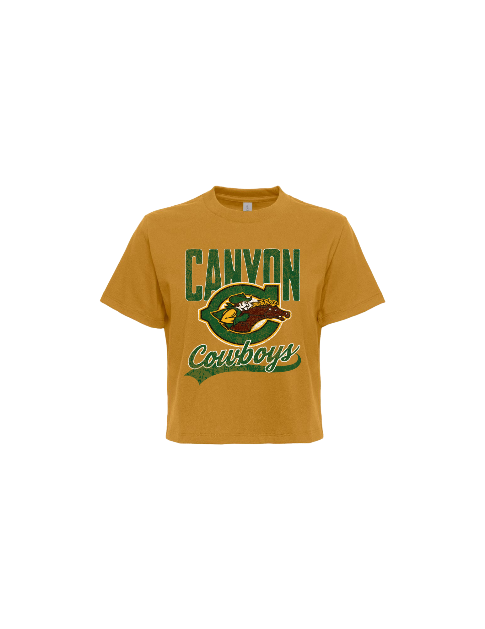 Cowboys Vintage Boxy Crop Tee