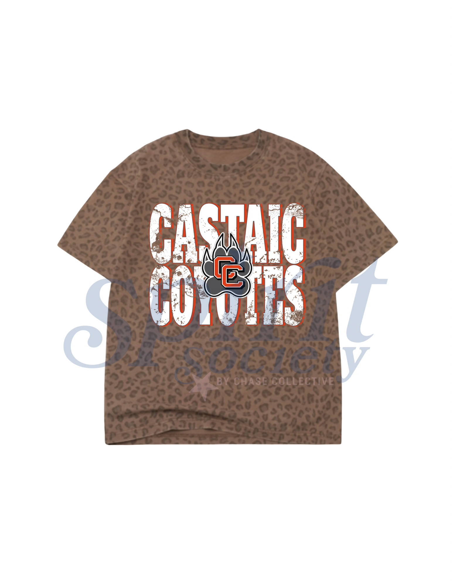 Castaic Block Oversized Tee